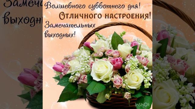 Желаю чудесного субботнего дня 🌼🌼🌼