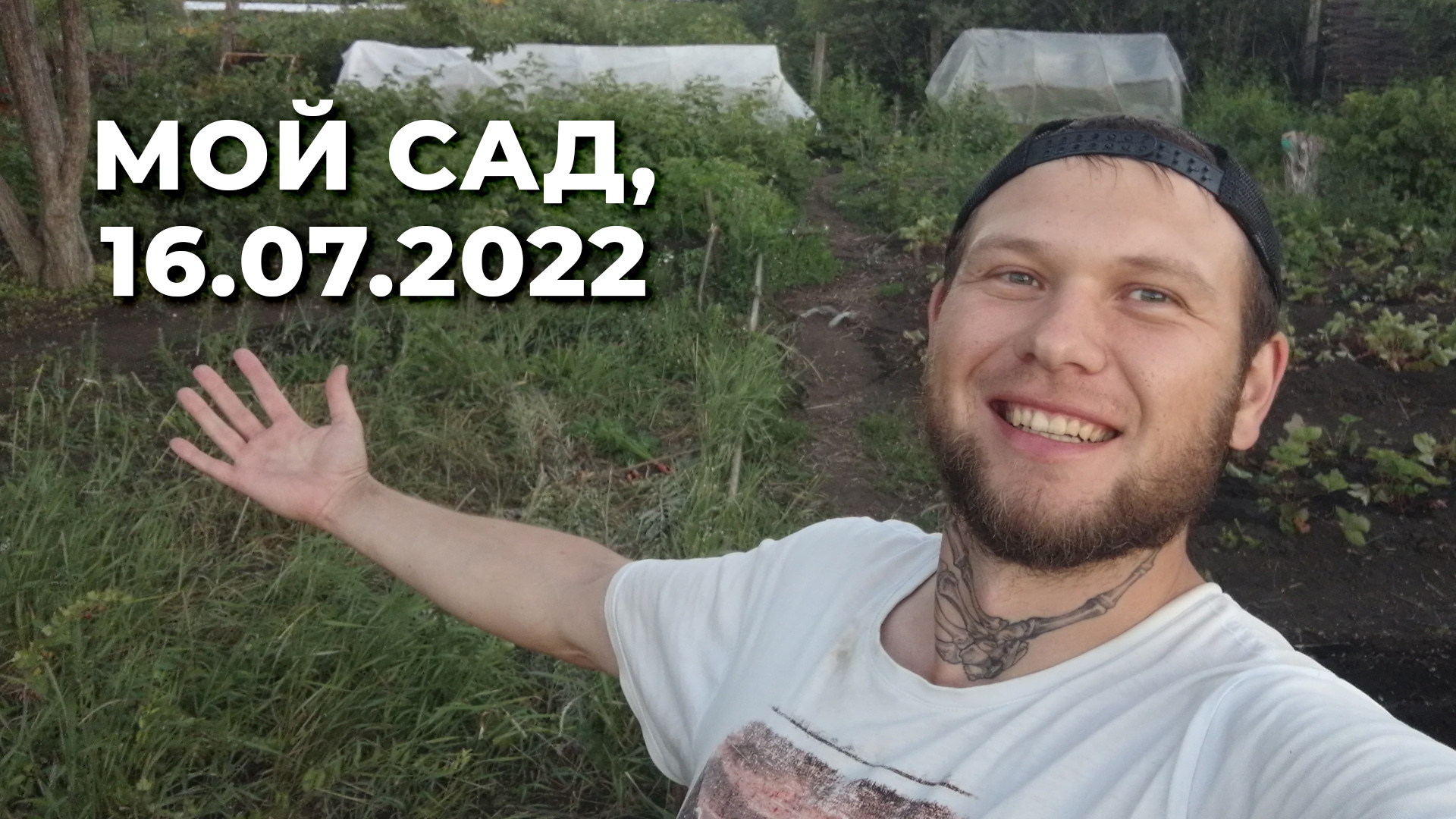 Мой сад, 16.07.2022