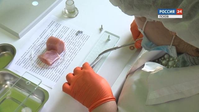 Дело мастера: зоотехник кинолог ветеринар. Эфир 12.12.2020