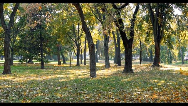 HzMafia -Гио Пика  - Листопадом