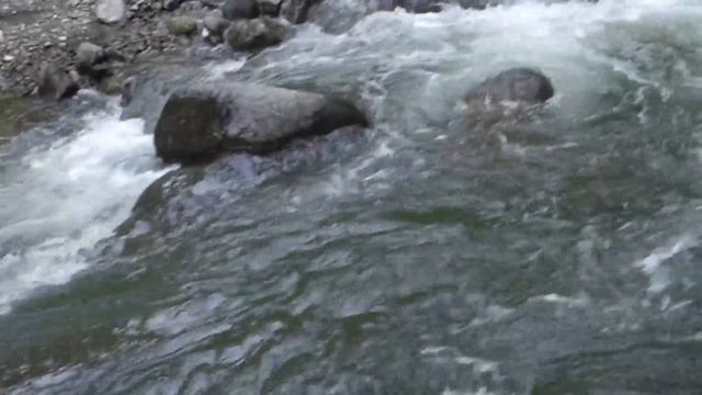 Вешарю 04.2024