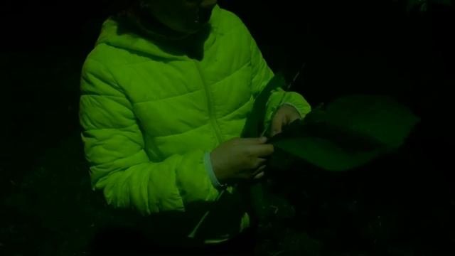 Самый полезный ЛАЙФХАК (бабочка от депрессии)