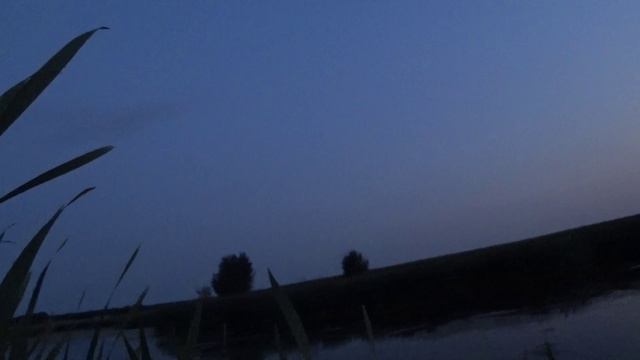 Норма взята. 19.08.2024 г.
