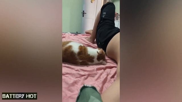 Лучшие приколы 2023 BEST FANNY FAILS VIDEOS 185