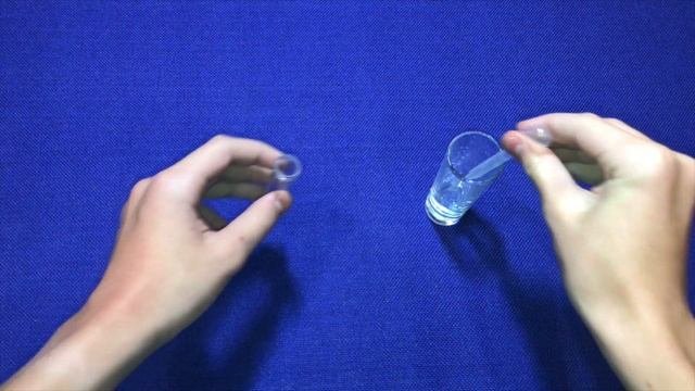 Что делать с муравьями если ты уезжаешь?