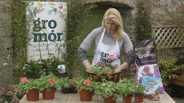 Mari Staunton's Tips On Planting The Perfect Hanging Basket