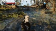 The Witcher 3: trapped in a puddle