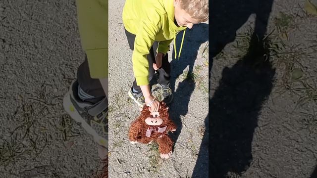 мучаем обезьянку 2 часть