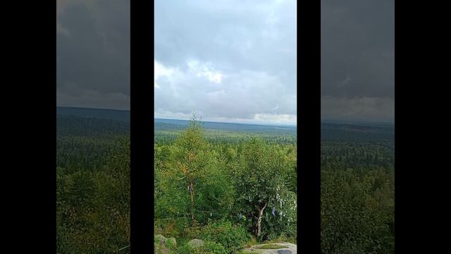 Дорога в г. Губаха #Shorts