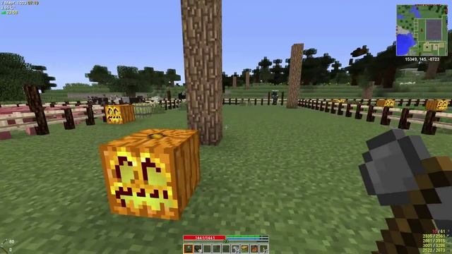 TerraFirmaCraft ➤ #13 Кованное железо