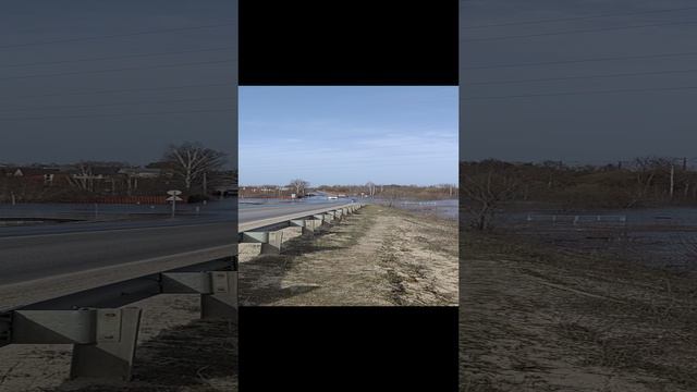 VID_20240402_154625.mp4