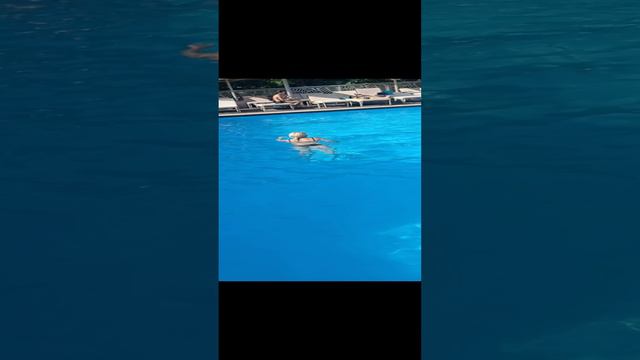 Вода Красная Пресня