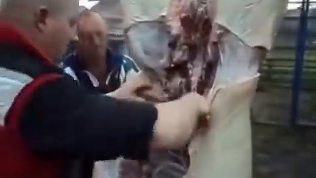 Как правило разделать свинью!