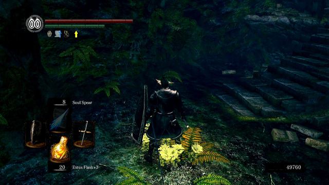 Demonstration of coop-limited areas in DS1