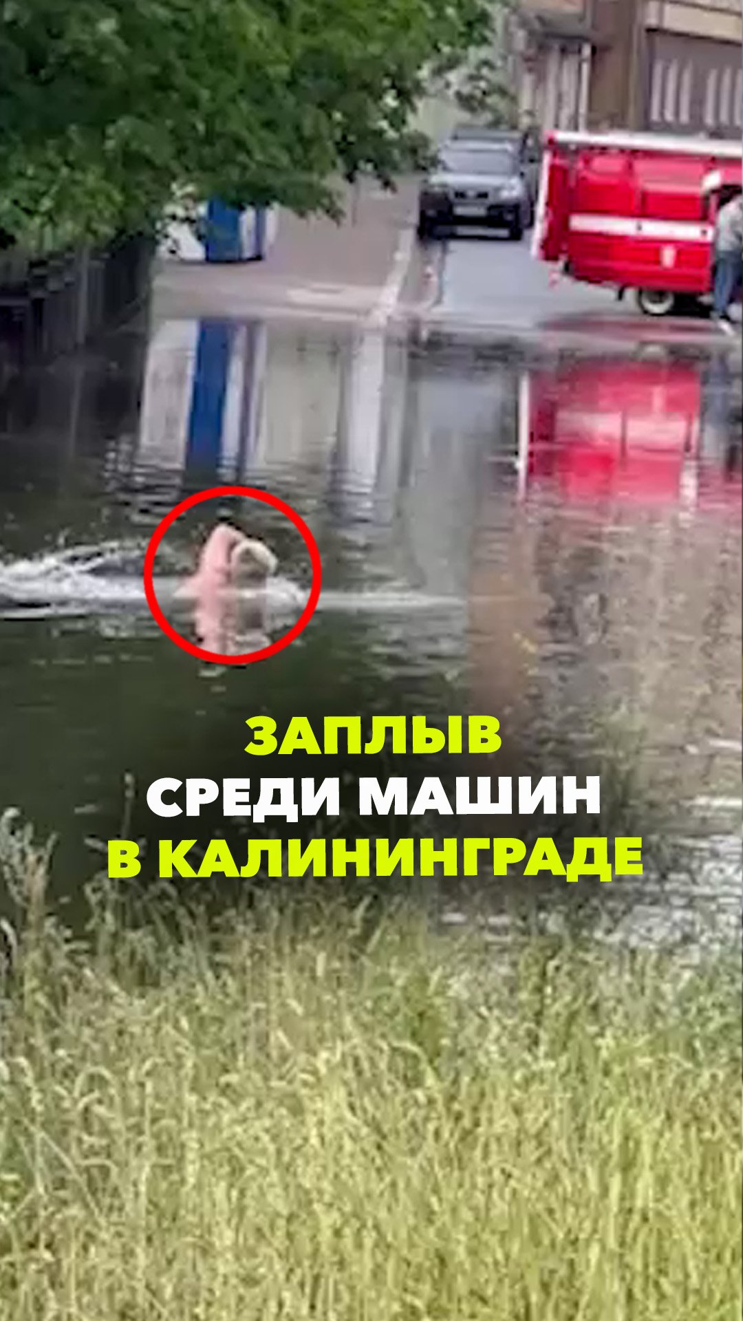 Заплыв по улицам Калининграда: город затопило после мощного ливня