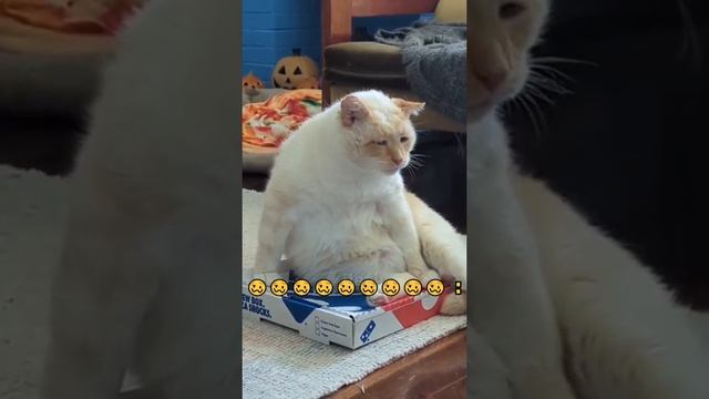 Состояние на утро пятницы