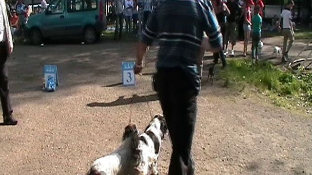 20100508_161322