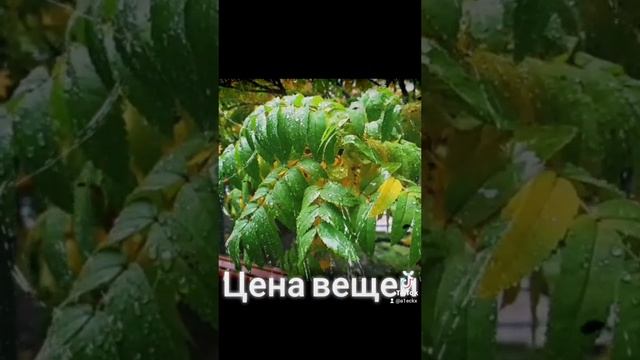 Мы приносим боль любимым людям