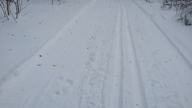 Пакатушки на лыжах 3
