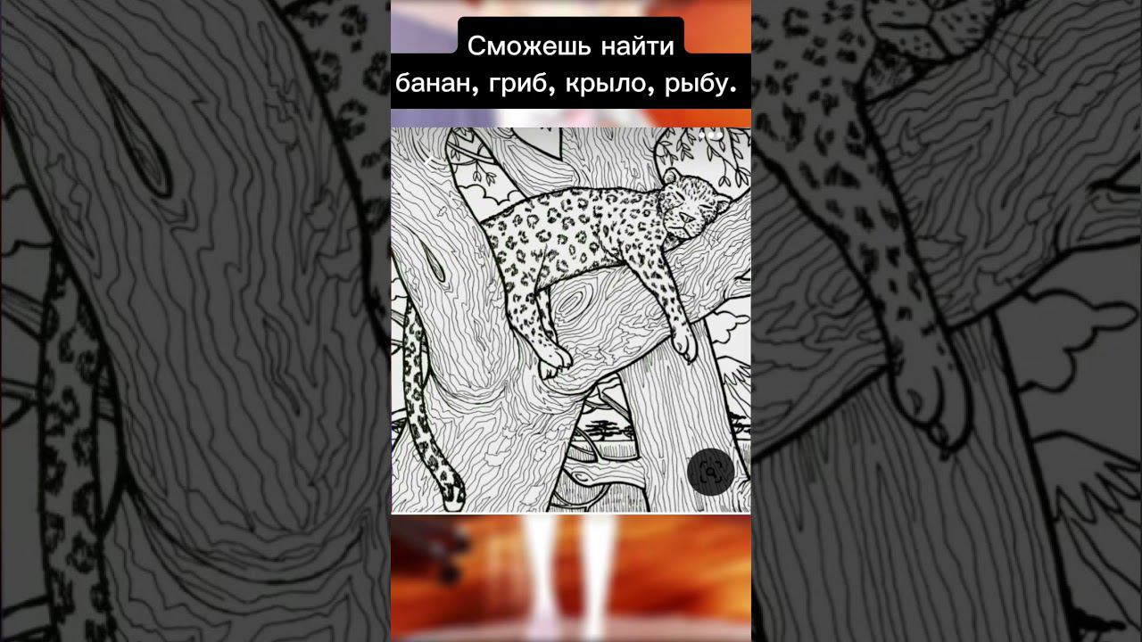 Я нашла всё ☺А вы? #мем #позитив #юмор #мемы #собака #актив #доброеутро #прикол #поззи
