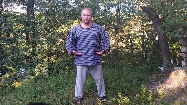 Форма 6: Грести в лодке. Тацзи-цигун.
