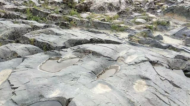 VID_20240909_144426.mp4