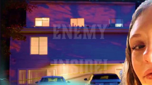 ☯️"IDAHO4 - STAR WITTNESS OR SUSPECT NO. 1! NO EVIDENCE OUTSIDE THE HOME FOUND!" #idaho4