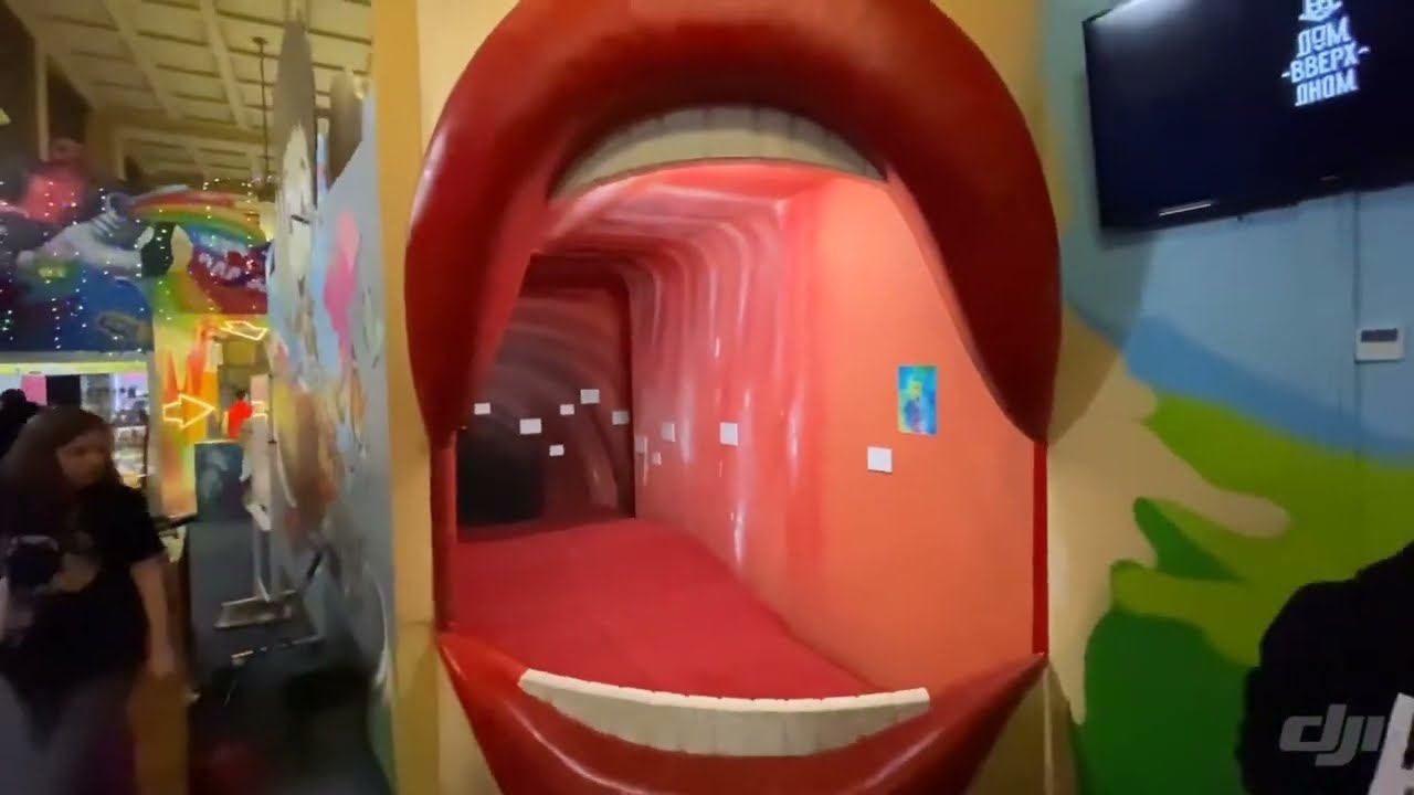 Музей Внутри Человека в Санкт-Петербурге . Корпорация развлечений Big Funny
