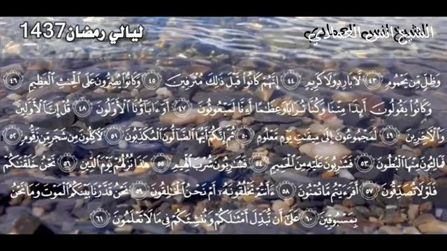 Shayx Anas Al-EmadiШейх Анас Аль-Имади