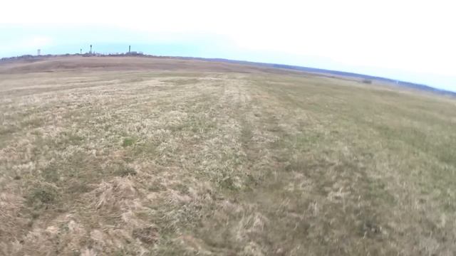 Охота на гуся! Несколько охотничьих дней.