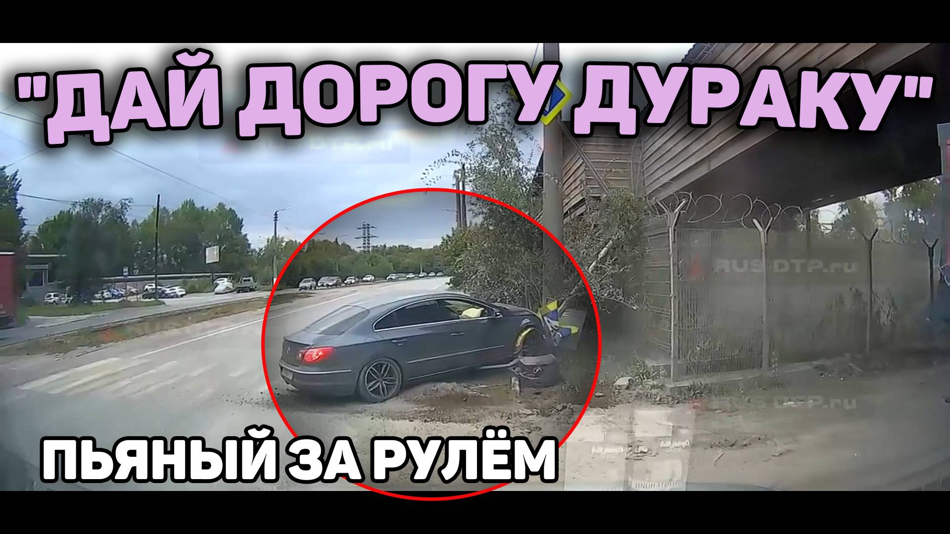Автоподборка "Дай Дорогу Дураку"🍺Пьяный Водитель