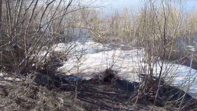 Выход сточных вод в Чулым. 6 апреля 2016