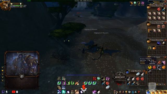 Ep 28 - Level 33-34 (Classic Wow ULTRA Hardcore.)
