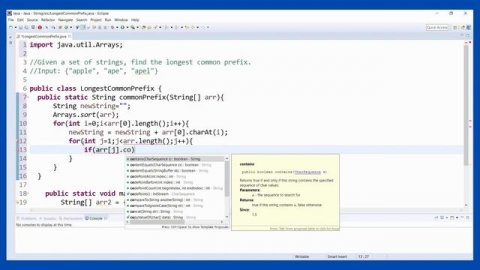 Java Programming Tutorial | Discovering Common Prefixes in Strings| Learn Basic Java