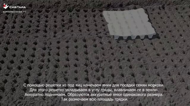 Решетка из под яйца в качестве трафарета