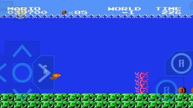 2 вида уровней  -1 в super mario bros (NES, Sega Genesis)