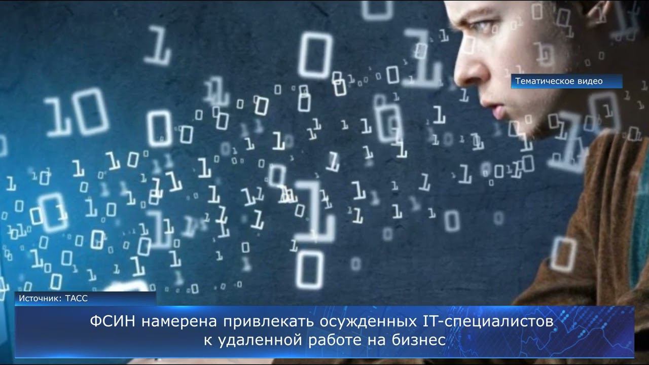 ФСИН намерена привлекать осужденных IT-специалистов к удаленной работе на бизнес