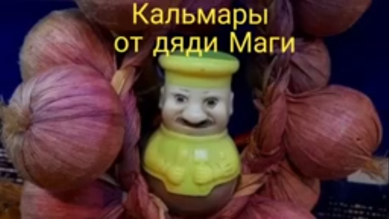 Кальмары от дяди Маги.