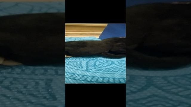 енд пуф в спортзале