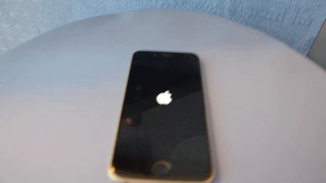 DSC 4559