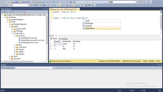 13 SQL Server - Like Operation in SQL Server for Searching Data
