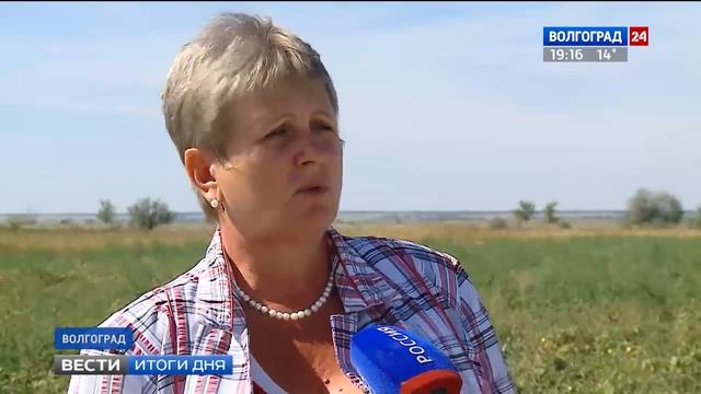 Возрождение Волгоградской опытной станции растениеводства