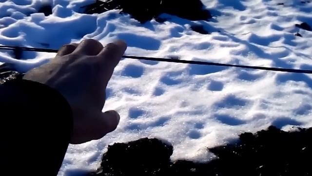 ОШИБКИ ПРИ ЗАКЛАДКЕ ВИНОГРАДНИКА