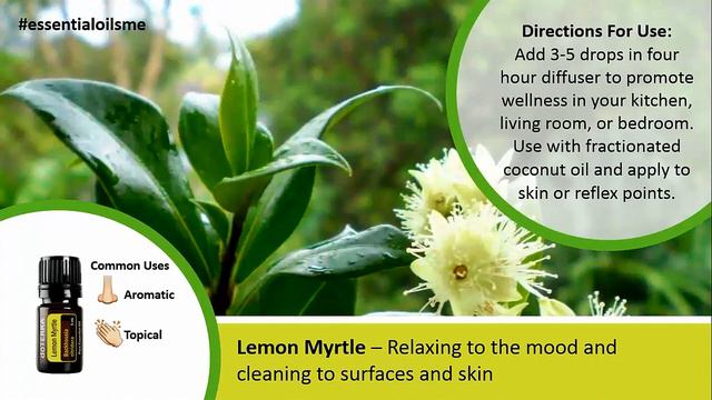 Incredible doTERRA Lemon Myrtle Essential Oil Uses