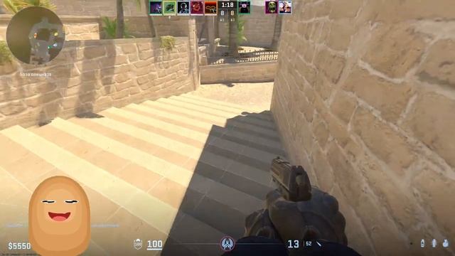 CS 2 - КУРИНЫЙ ВОИН?