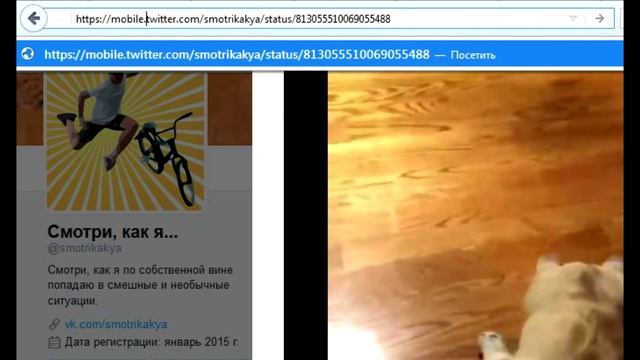 Как скачать видео с Твиттера (самый простой способ)