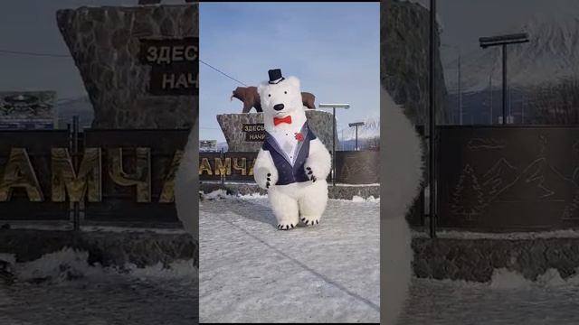 Танец белого медведя на Камчатки???????