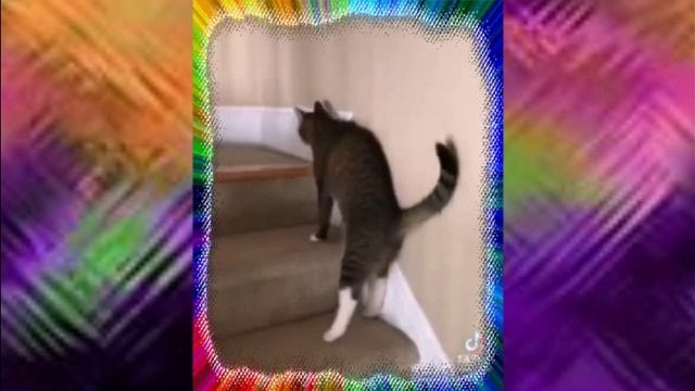 котя оторвался по полной