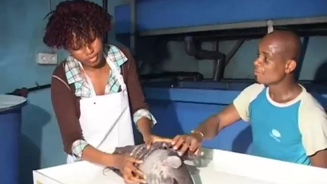 HYDROFISH Bingerville Côte dIvoire