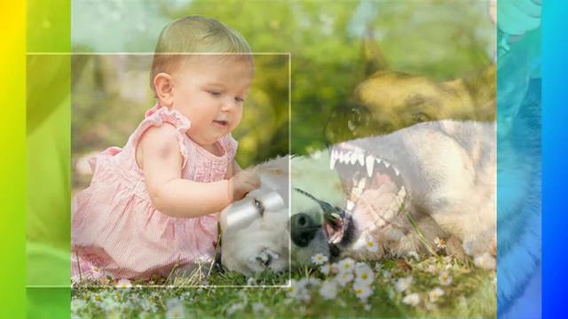 Dạy trẻ phòng tránh chó cắn